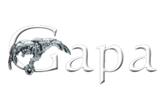 Gapa #9 (2014-01)