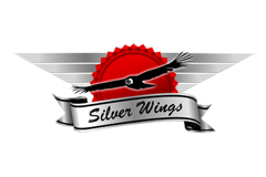 [Zapowiedź] Silver Wings: PZL P.11 1/32